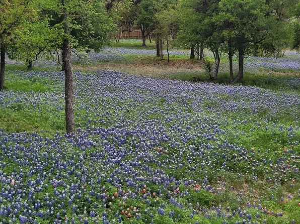 3519 Oak Cluster St LOT 4, San Antonio, TX 78253