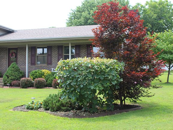 2nd image of 570 Powell Ln