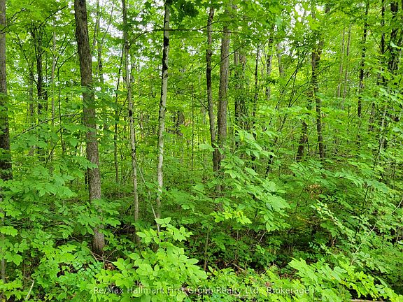 4th image of 0 Black River Rd N