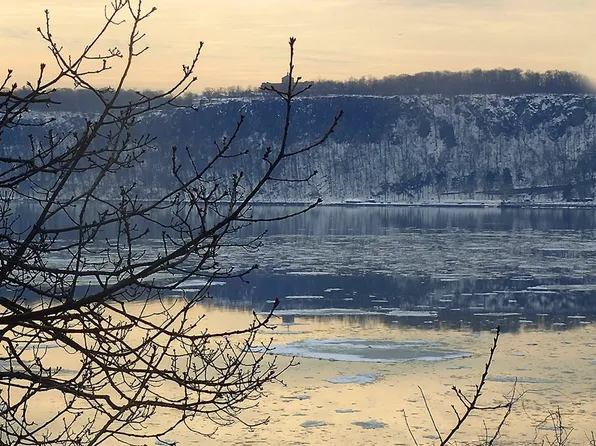 2501 Palisade Avenue image 21 of 22