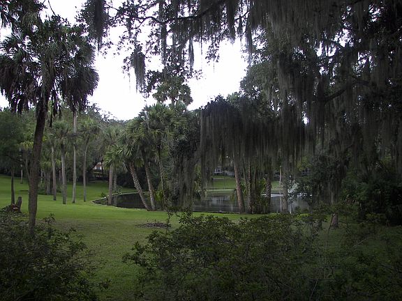 View of pond from family room balcony.