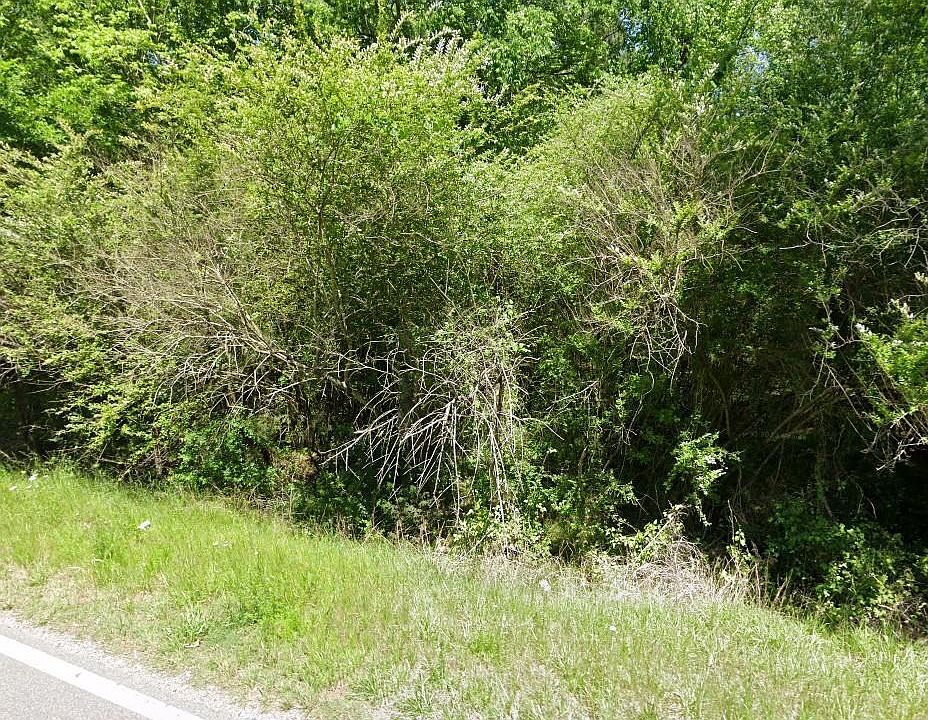 2nd image of 6957 Johns Rd #3