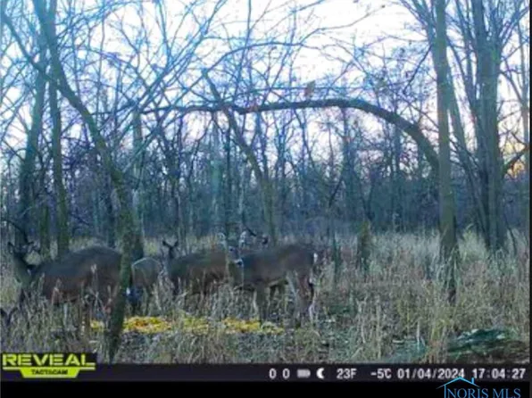 0 Road 71, Paulding, OH 45879