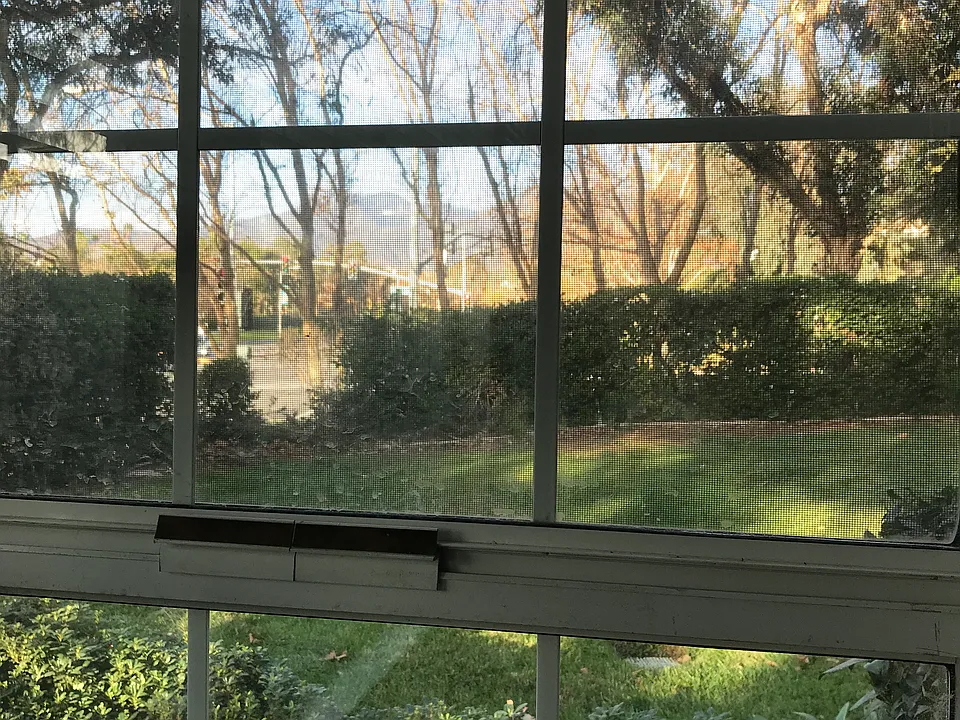 View through living room window