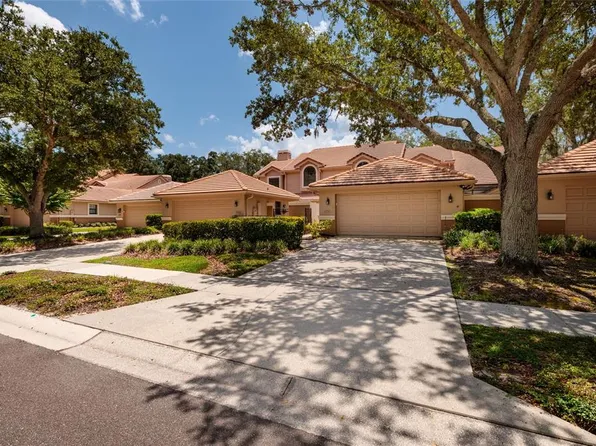 17557 Fairmeadow Dr, Tampa, FL 33647