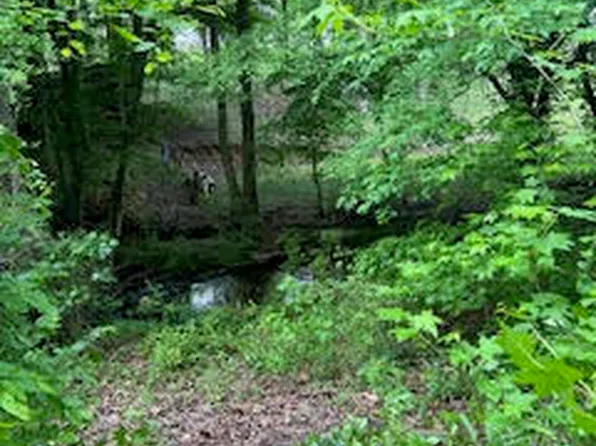 0 Log Cabin Rd, Cumming, GA 30028