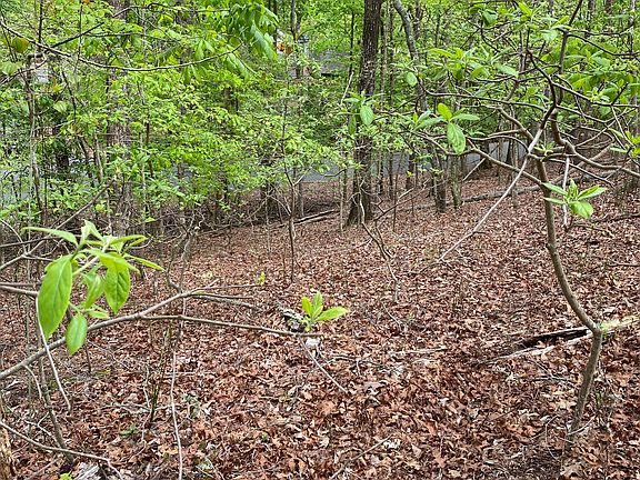 4th image of 138 Lakeview Cir Lot 0