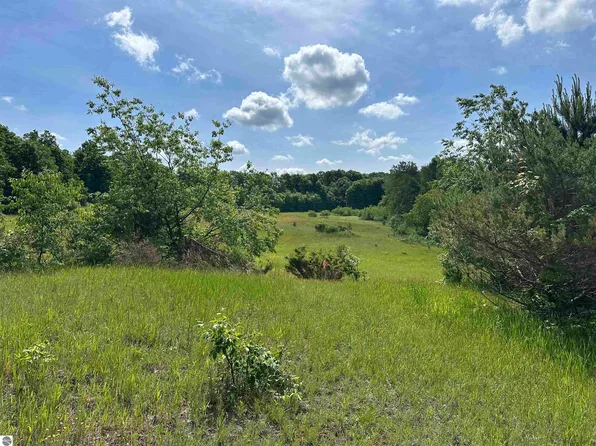 1263 N Marshall Rd, Beulah, MI 49617