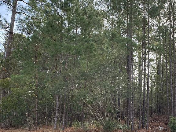 3rd image of 218 Bellhammon Forest Drive LOT 8 & 8A