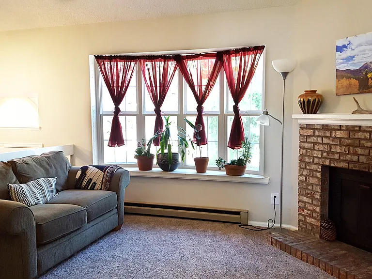 2828 Silverplume Dr #C1 — Photo 12