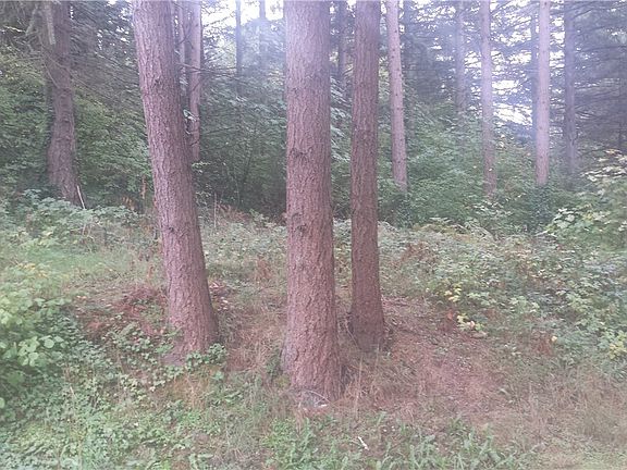 3rd image of 15601 78th Ave E