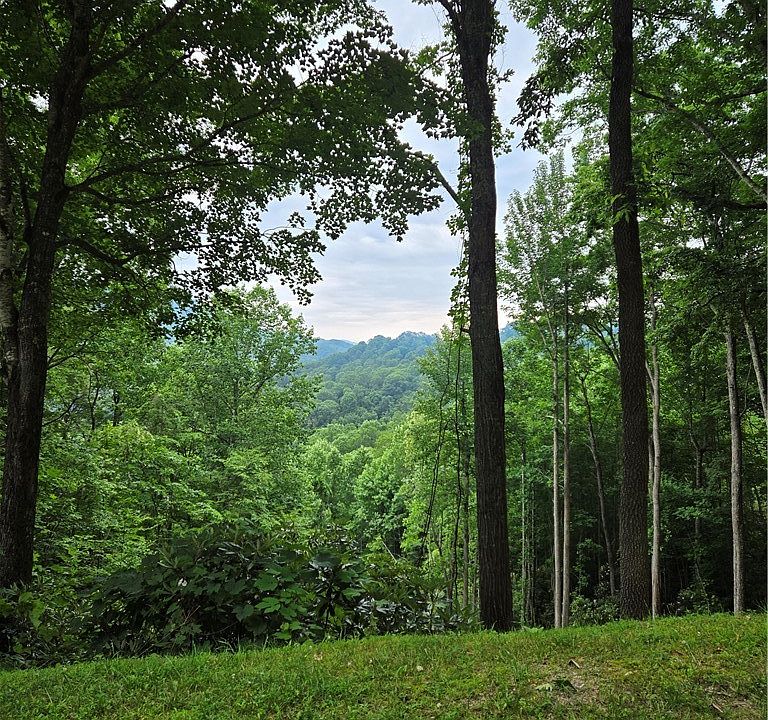 2nd image of Lot C10 Bear Paw Road