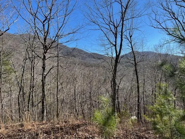 LOT 10 Mountain Valley Vw, Hiawassee, GA 30546