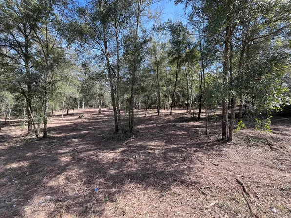 Tbd Webster Street, Interlachen, FL 32148