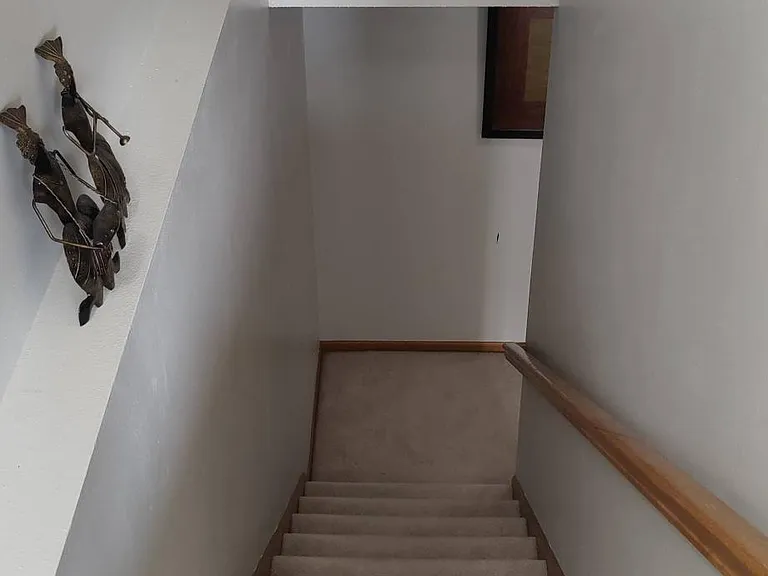 2120 Timber Ln — Photo 26