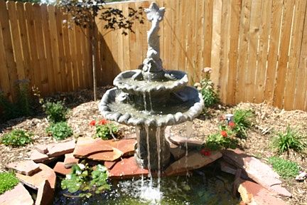 Backyard Fountain & Pond Area