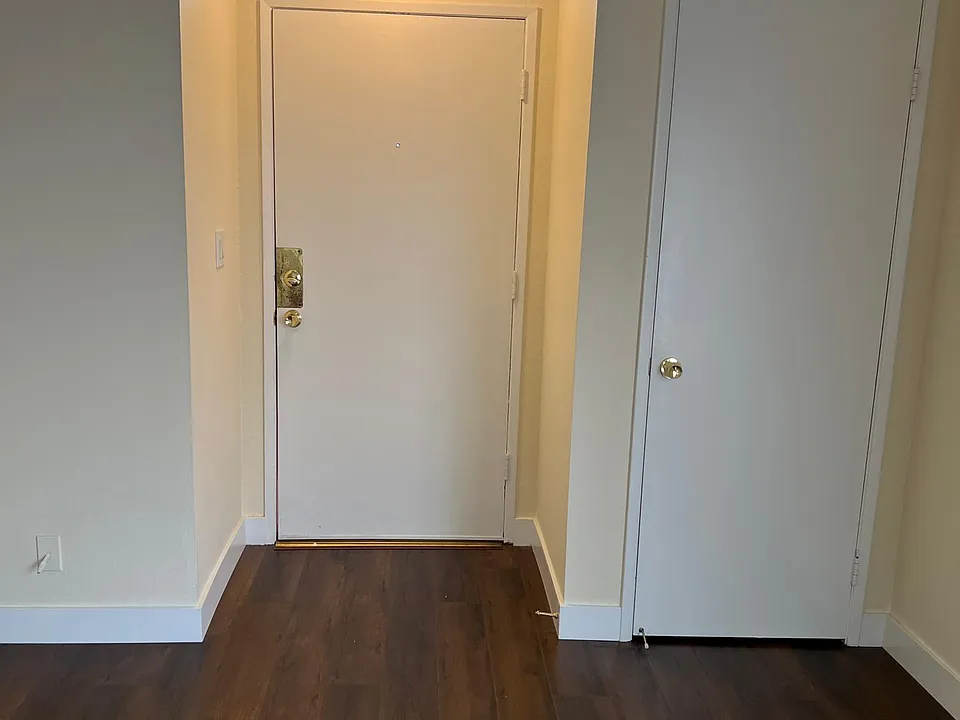 Front door and extra closet