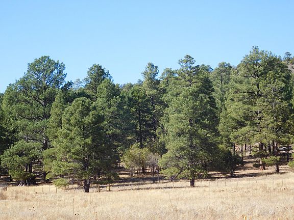 5th image of 875 S Cypress Poin #229