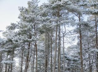 10 Spruce Hollow Trce, Fife Lake, MI 49633