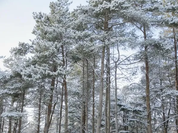 3806 N 2 1/2 Rd, Buckley, MI 49620