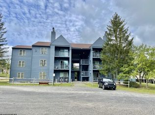 303 Herzwoods Rd, Davis, WV 26260