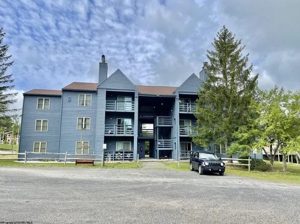 303 Herzwoods Rd, Davis, WV 26260