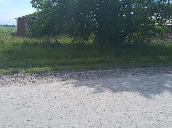 9129 Hoffman Rd, Maybee, MI 48159