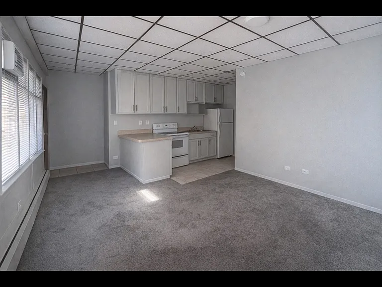 10006 S Kedzie Ave #1 — Photo 3