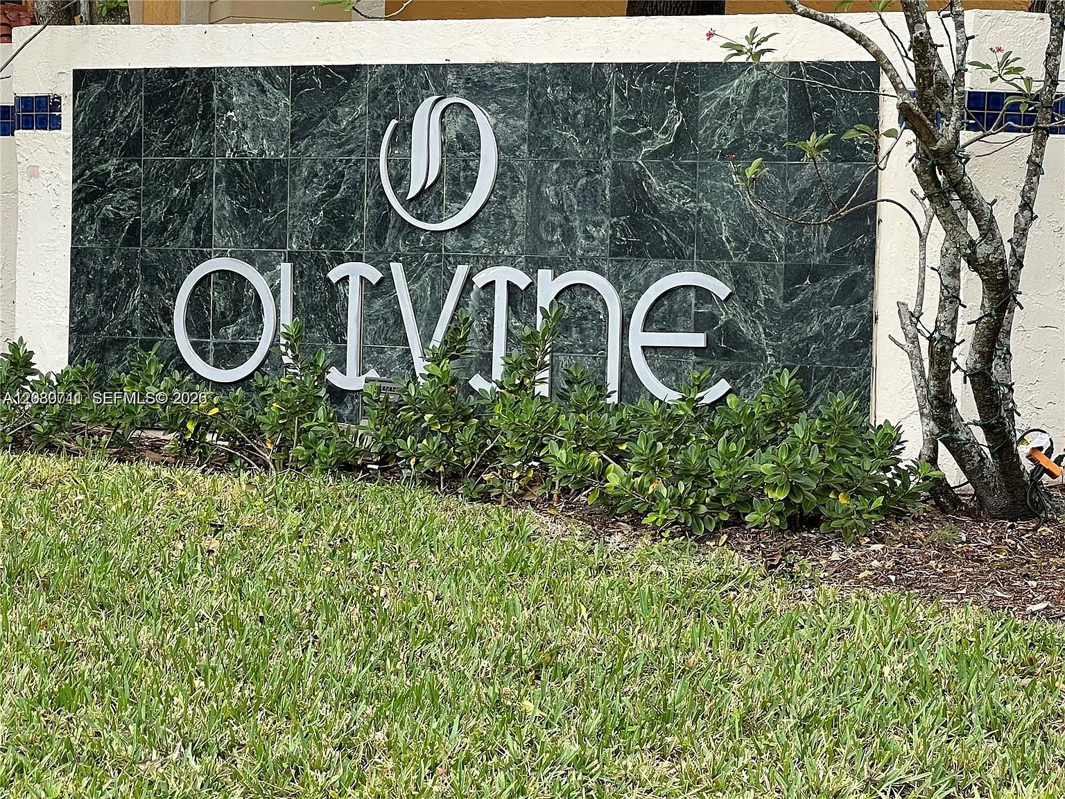 Olivine At The Township — Photo 2