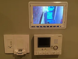 Rented by P Management