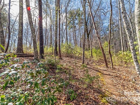 2nd image of 99999 Mill Rd