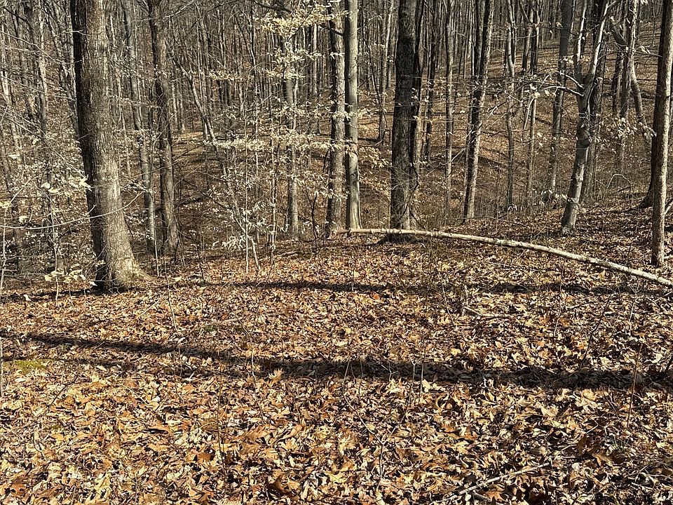 2nd image of N Side W Buffalo Bottoms Rd