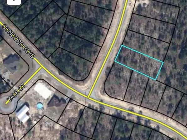 TBD CAREY BOULEVARD LOT 4, CHIPLEY, FL 32428