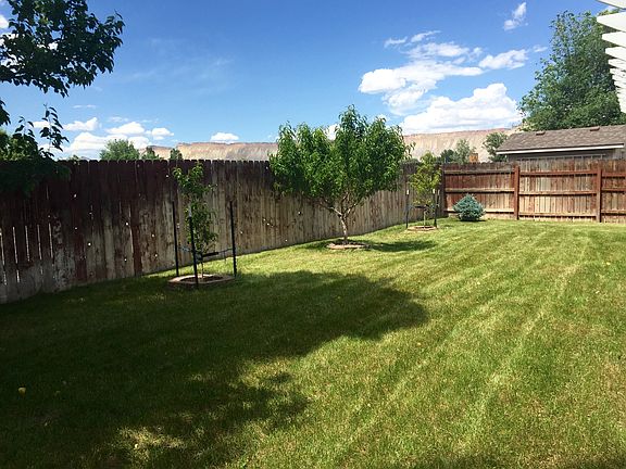 3 Fruit trees in backyard. 