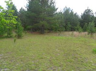 2587 Ware St, Blackshear, GA 31516