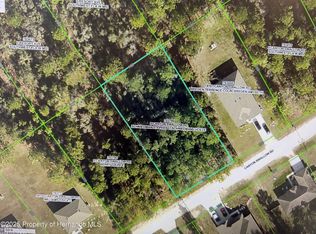 14151 Canyon Swallow Rd, Brooksville, FL 34614