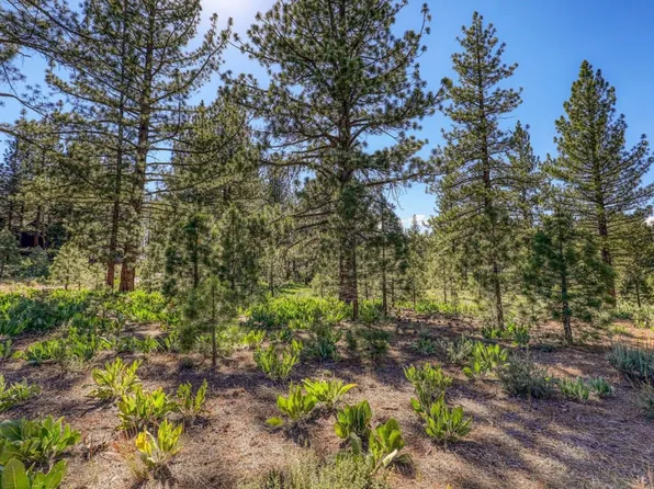 7445 Lahontan Dr, Truckee, CA 96161