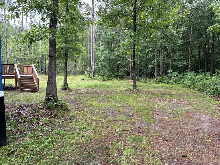 165 Gum Pond Rd — Photo 5