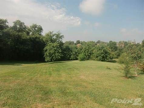 property line goes into the tree's!! No homes right behind you here