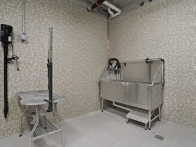 Pet Wash