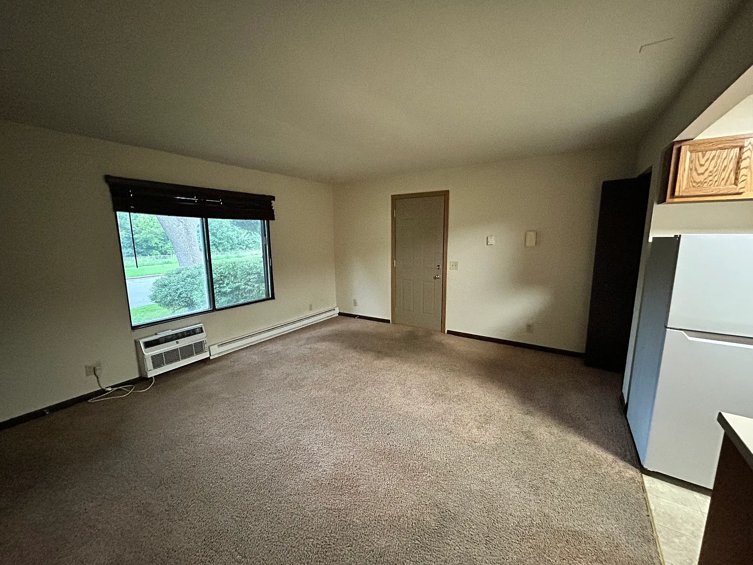 1 bed, $1,215 — Photo 4