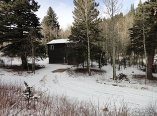 1644 Cold Springs Rd, Nederland, CO 80466