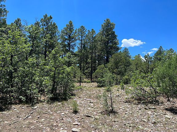 4th image of Tierra Bonita