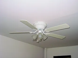 Rented by The Find NY