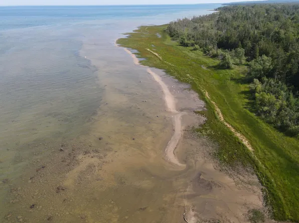 V/l North Lake Shore Dr, Black River, MI 48721