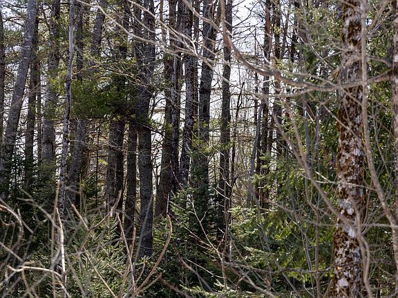 5th image of M4L38&39 West Old Main Road