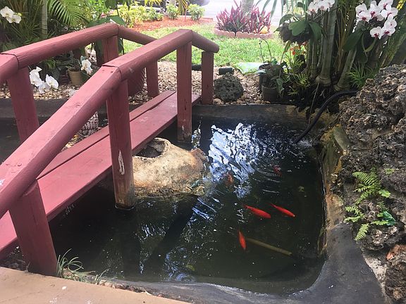 Fish pond