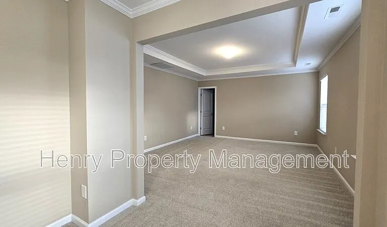 1005 Magnolia Leaf Ct — Photo 18