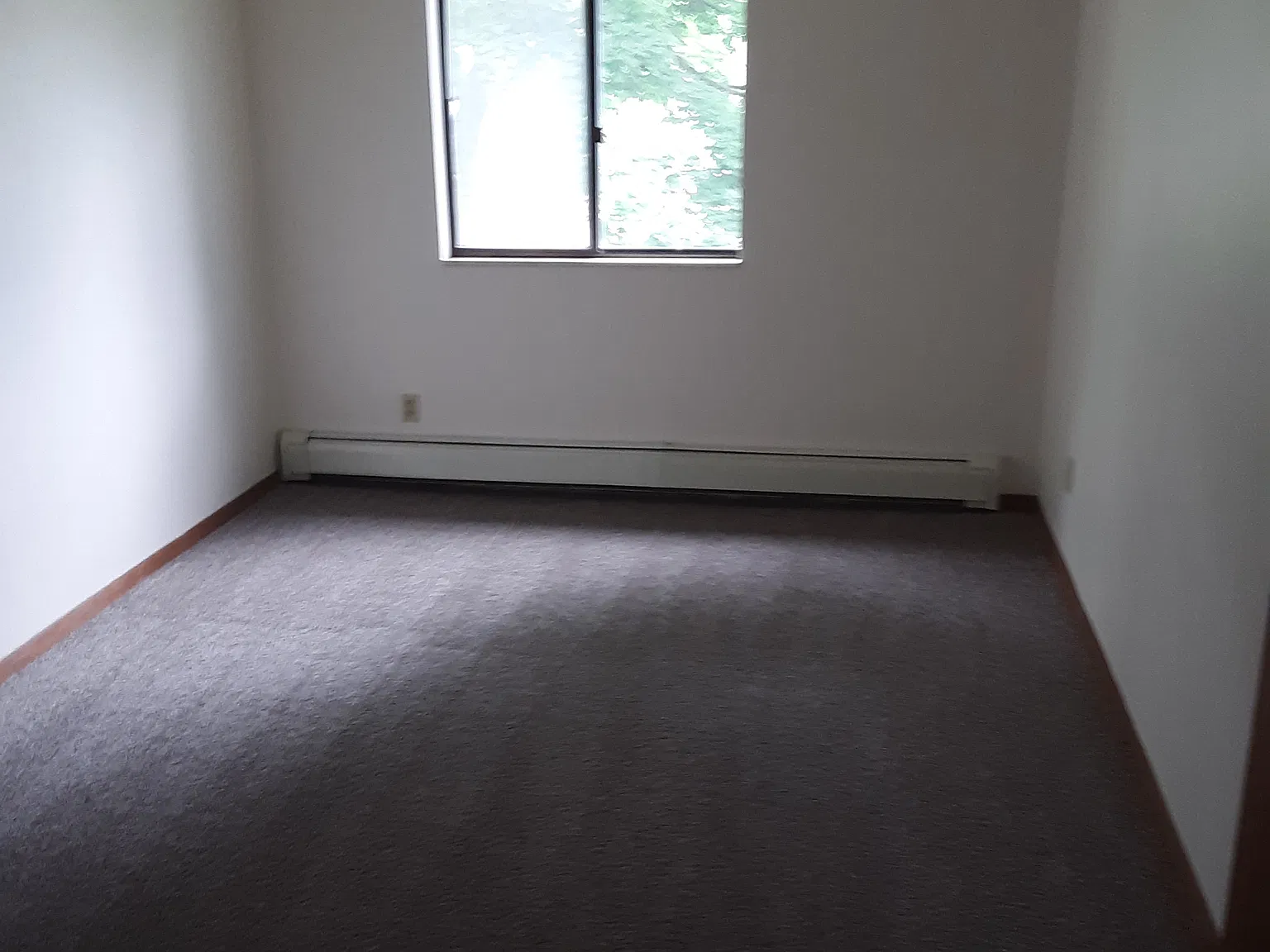 2 bed, 800 sqft, $1,100 — Photo 2