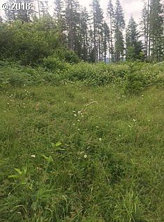2nd image of 0 NE 249th Ave